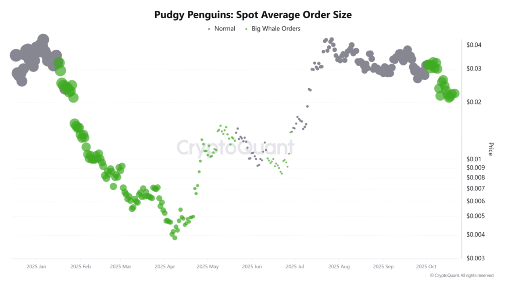 Pudgy Penguins Price Prediction: PENGU Price is Down 69% from ATH, Could it Rebound by Halloween 2025 As Whales Accumulate?  | Invesloan.com