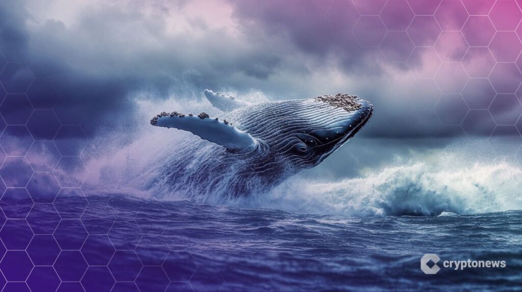 MEXC Apologizes After Wrongfully Freezing $3M From Crypto Whale ‘The White Whale’ | Invesloan.com