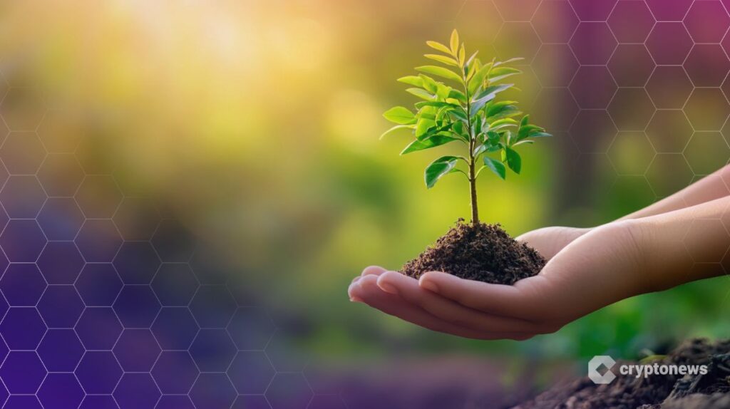 Curve Founder Proposes $6.6M CRV Grant for Ecosystem Development | Invesloan.com