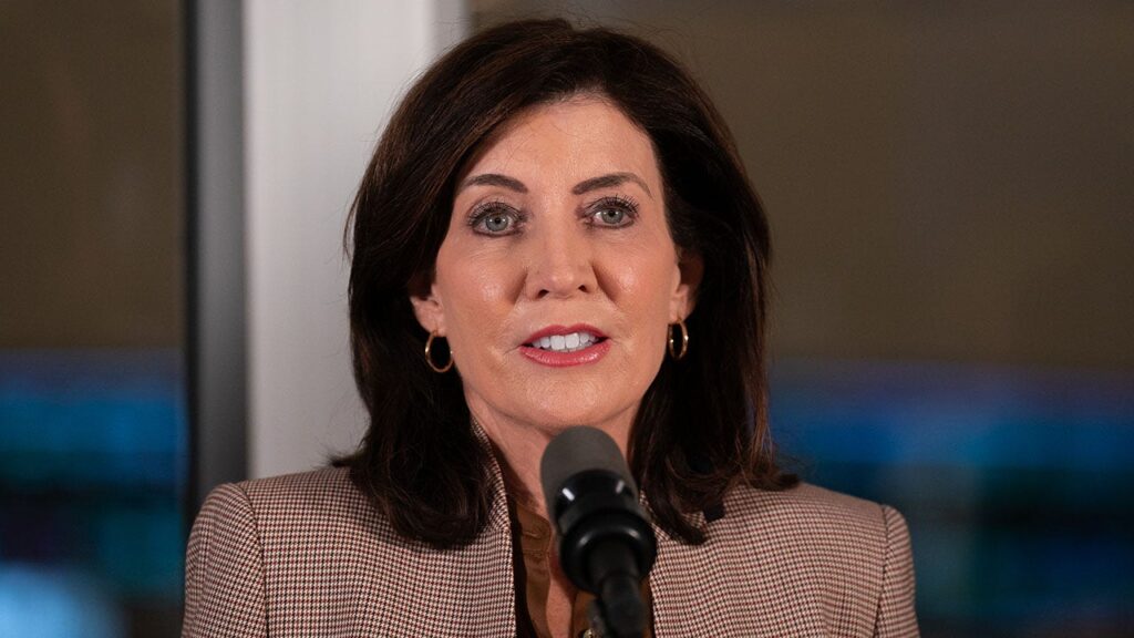 NY GOP senators urge Hochul to launch fraud probe after Minnesota allegations | Invesloan.com