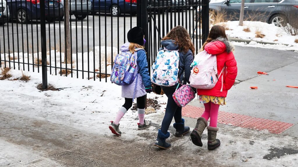 Campus Radical Newsletter: Teacher who misplaced job over 2-word submit breaks silence, Chicago ‘racial segregation’ | Invesloan.com