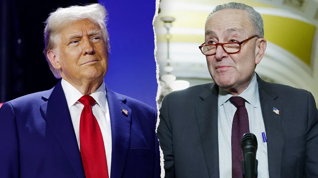 Schumer calls Trump’s plan to deploy ICE brokers to US airports ‘impulsive’ | Invesloan.com
