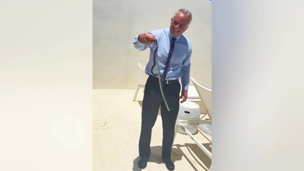 RFK Jr. grabs black snakes barehanded on Dr. Oz’s patio in viral video | Invesloan.com