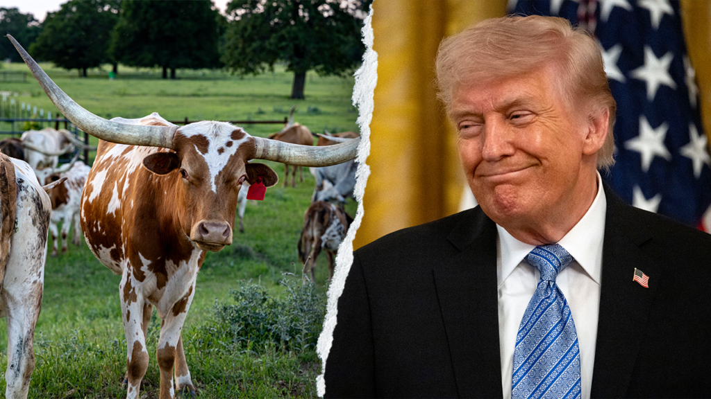 Trump says Texas Democrat ‘cannot get elected as a vegan’ in Senate race | Invesloan.com