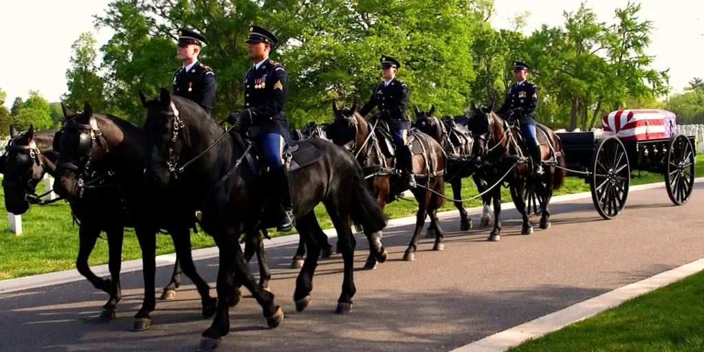 Inside US Army’s $30M Effort to Revamp Arlington Funeral Horse Program | Invesloan.com
