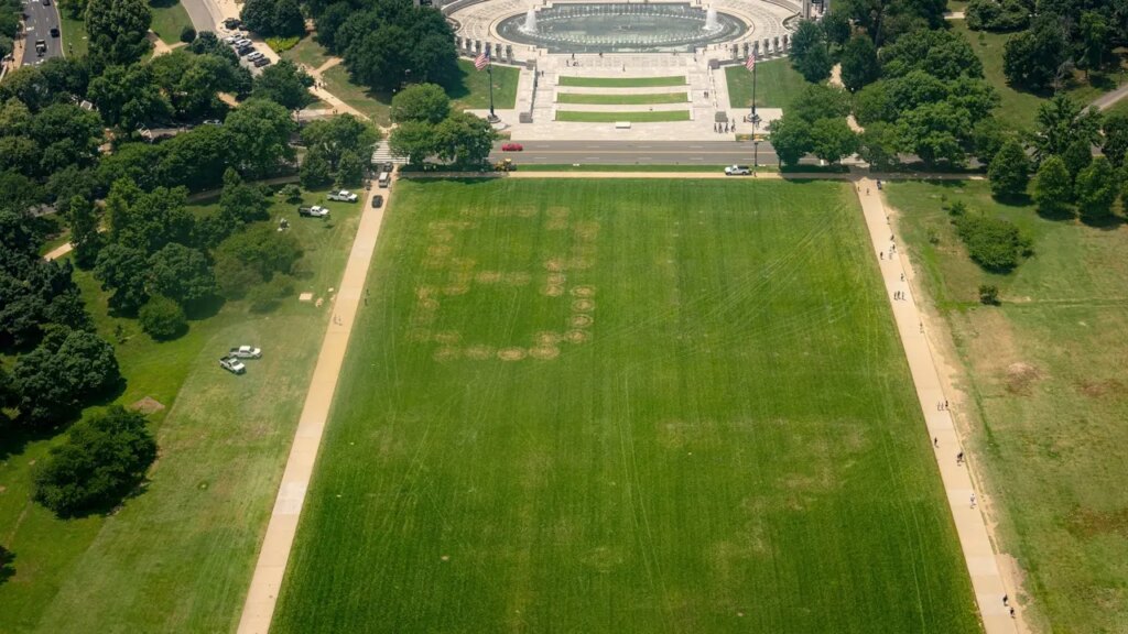 Giant ‘8647’ message etched into National Mall grass prompts investigation | Invesloan.com