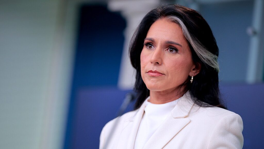 Gabbard releases paperwork claiming Fauci influenced COVID origins research | Invesloan.com