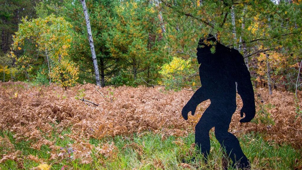 Witness recounts Fourth of July weekend Bigfoot sighting in Connecticut, says ‘there have been no boobs’ | Invesloan.com