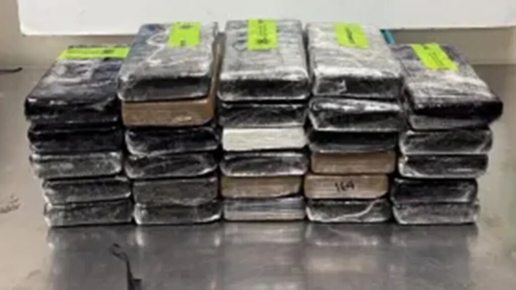 CBP seizes $3.7M cocaine hidden in cucumber cargo at Texas border | Invesloan.com