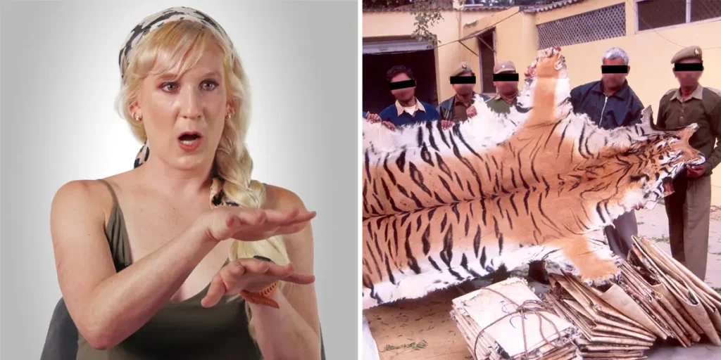 How Wildlife Poaching Works, According to an Undercover Investigator | Invesloan.com