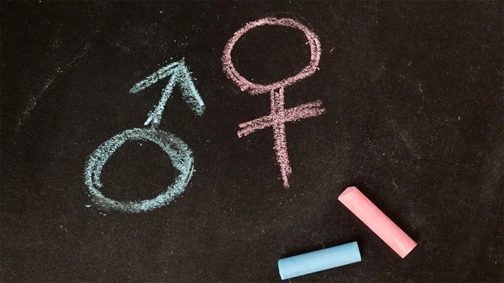 3 detransitioners declare docs pressured them into therapy as teenagers | Invesloan.com