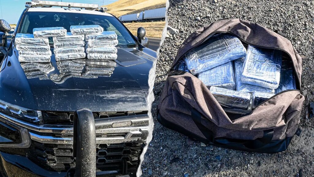 California drug bust seizes over $800K in cocaine at visitors cease | Invesloan.com