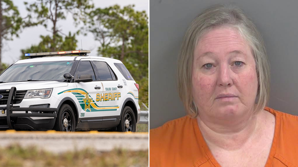 Florida lady faked most cancers to rip-off over 200 individuals, charged with grand theft | Invesloan.com