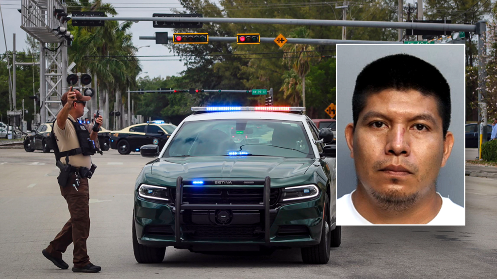 Illegal immigrant’s hit-and-run in Miami-Dade places lady on life help | Invesloan.com