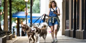 College-Educated Americans, Middle Class Embrace Side Hustles | Invesloan.com