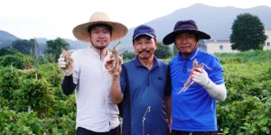 They Quit Their Jobs to Travel the World and Now Run a Farm in South Korea | Invesloan.com