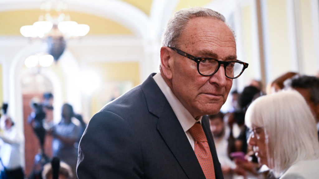 Senate Democrats block inventory buying and selling ban, stop GOP voter ID win | Invesloan.com