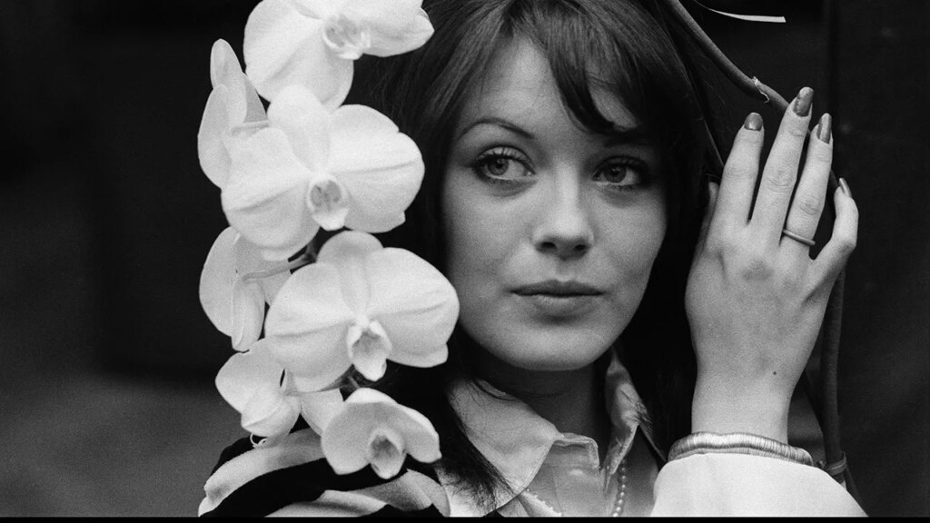 Actress Lesley-Anne Down left Los Angeles for a brand new life in Georgia | Invesloan.com