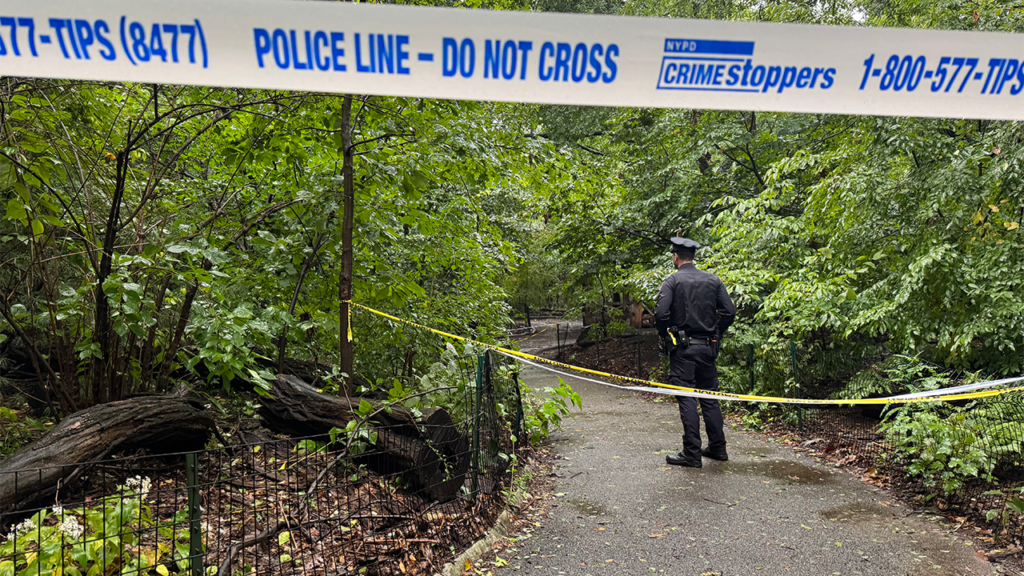 Woman discovered useless in Central Park as police race to unravel thriller | Invesloan.com