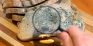 AI Worms and ‘Digital Slime Mold’: Welcome to Next AI Nightmare Fuel | Invesloan.com